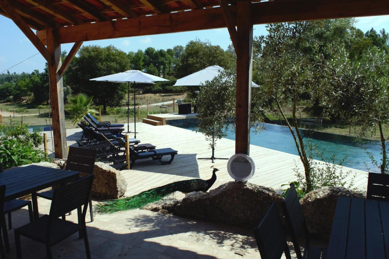 Apartmán Quinta Castanheira Santa Comba Dao Exteriér fotografie